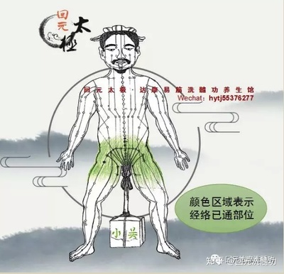 养生经络进阶：解锁深层奥秘，开启健康升级新旅程