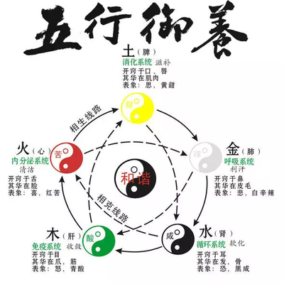 中医养生妙法:精准调理肺肾,守护呼吸与肾气健康