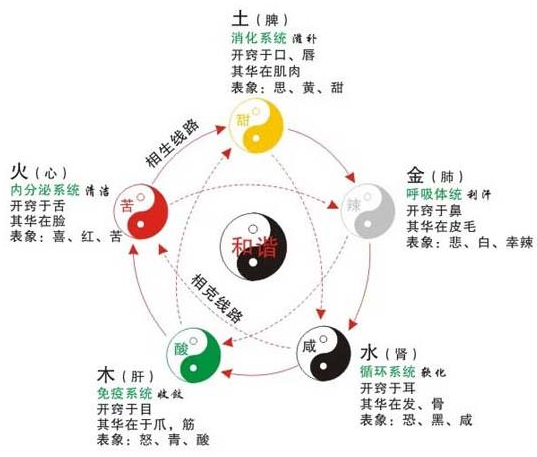 中医养生之道:精准调理阴阳,开启身心平衡健康之旅