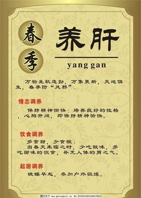 日常饮食巧养肝 藏在餐桌里的养生护肝小门道