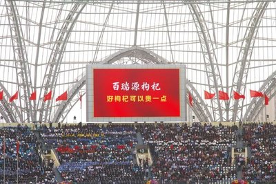 枸杞品牌周年庆:岁月沉淀品质,共赴璀璨新程