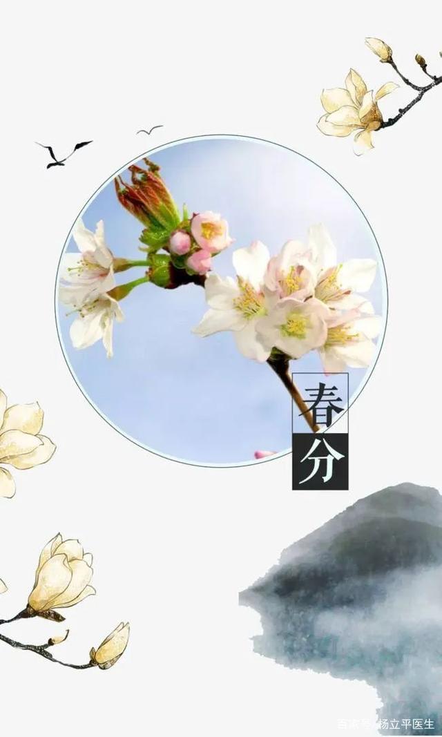 春分中医养生讲究阴阳平衡 顺应春气调养身心更安康