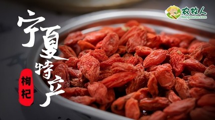 枸杞电商：开启线上滋补新风尚，畅享优质枸杞新体验