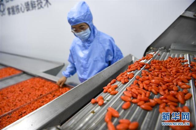 枸杞线上热卖：便捷选购，品味养生好滋味