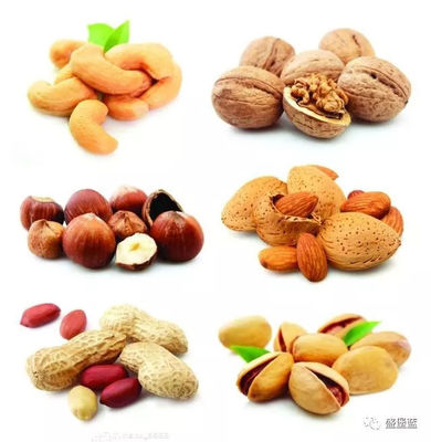 饮食养生选坚果，开启健康活力生活的美味秘诀
