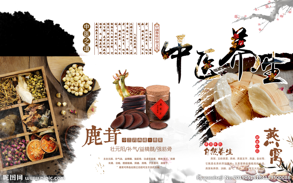 中医养生之道:补气秘籍大公开,开启健康活力新篇章
