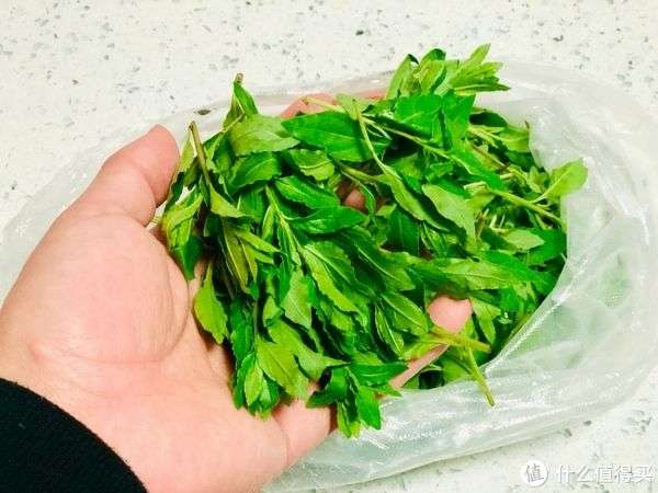 春天吃枸杞正当时，解锁春日养生滋补新方式