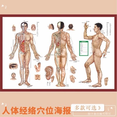 中医养生经络针灸:解锁身体奥秘,开启健康新篇