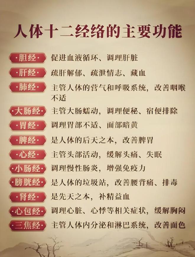 养生经络进阶窍门：解锁身体潜能，开启健康新境界
