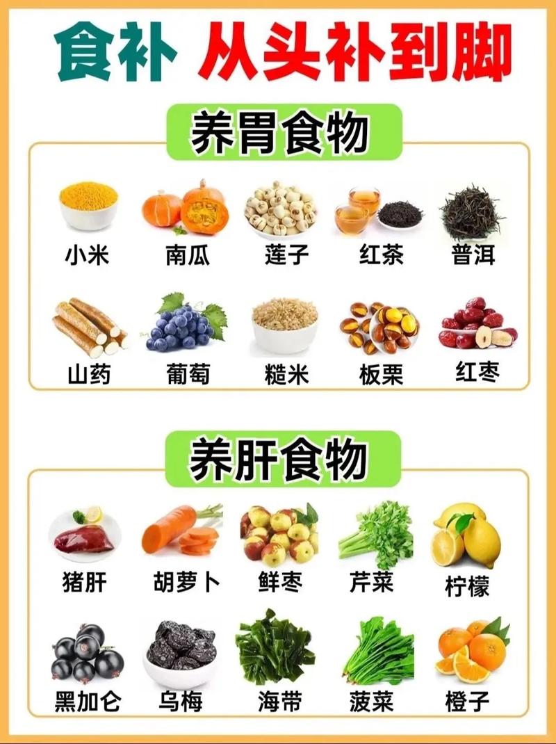 养生饮食进阶方法大全 从入门到精通的饮食调养技巧