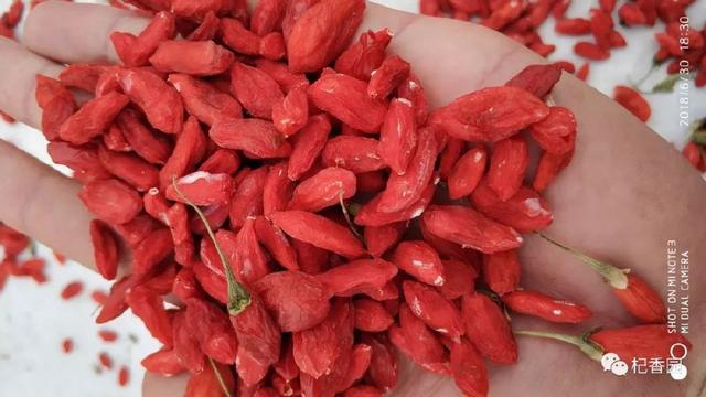 枸杞安全：从种植到食用，全方位守护您的健康防线