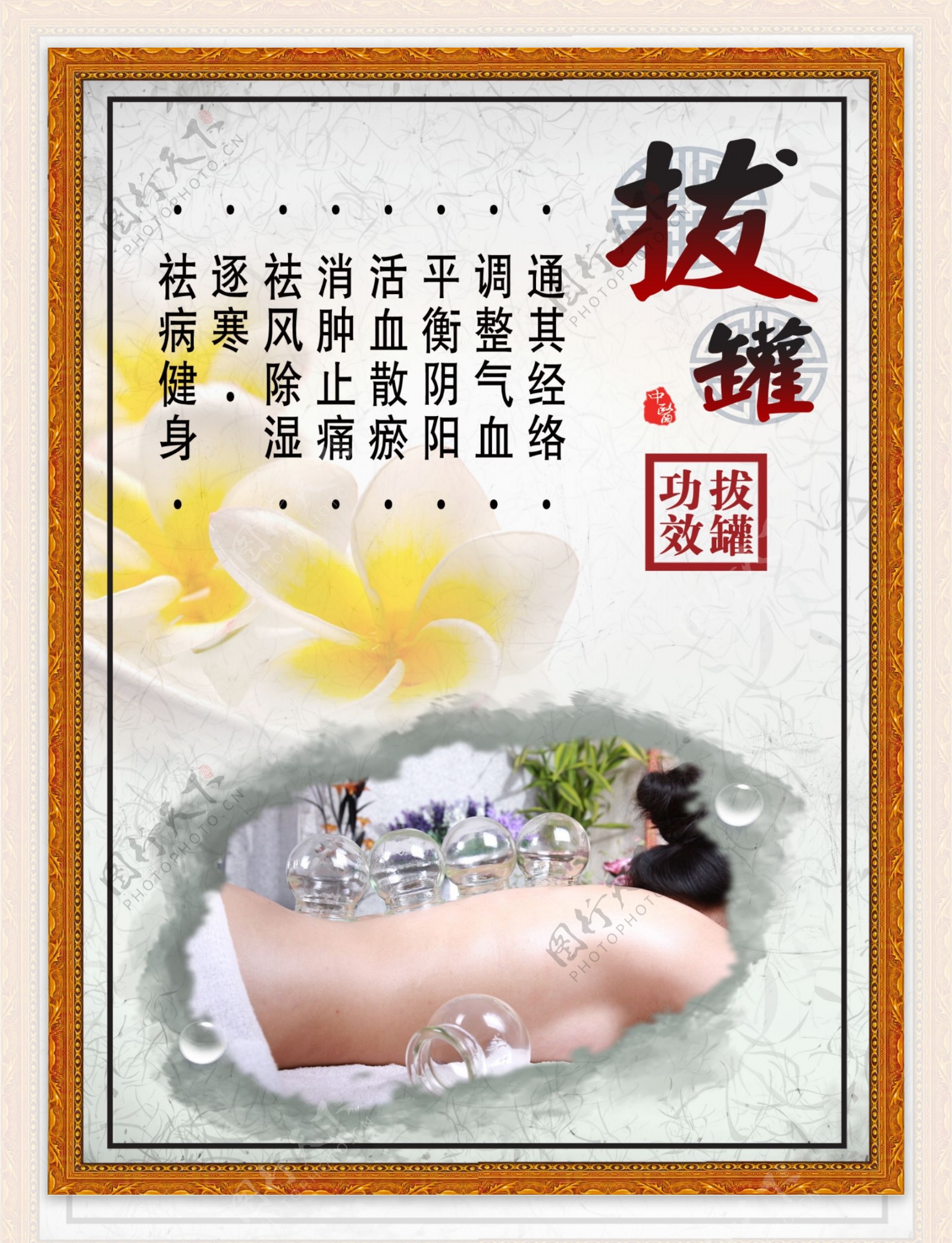 经络拔罐开启中医养生妙门,解锁身体康健密码