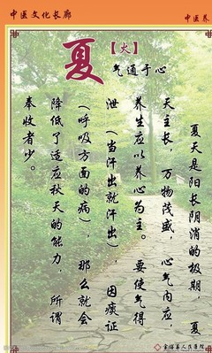 中医养生要点全解析：从饮食起居到情志调节的健康之道