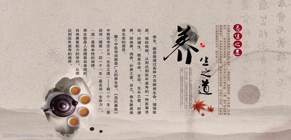 探寻中医养生哲学真谛，解锁身心和谐健康密码