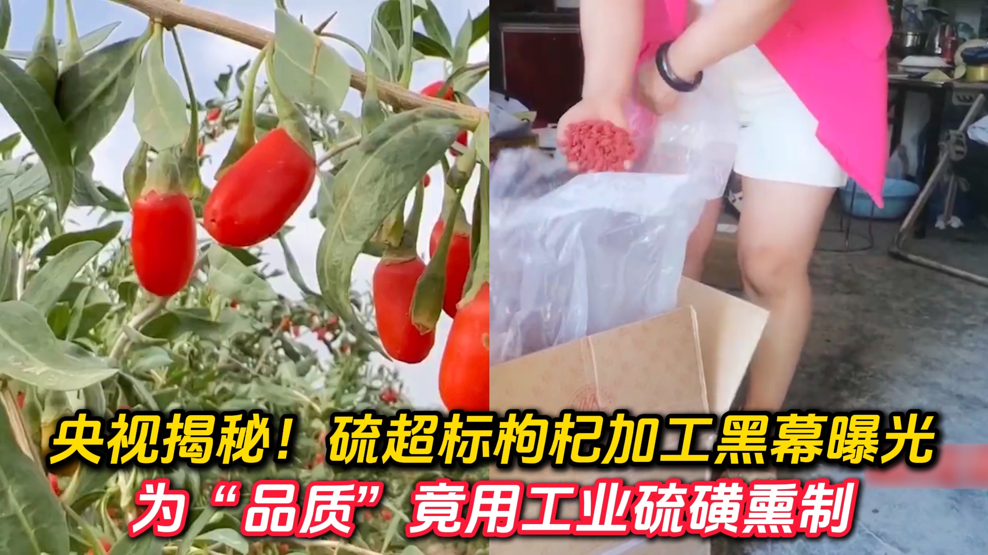 顶级枸杞品牌，演绎枸杞中的卓越品质与非凡魅力