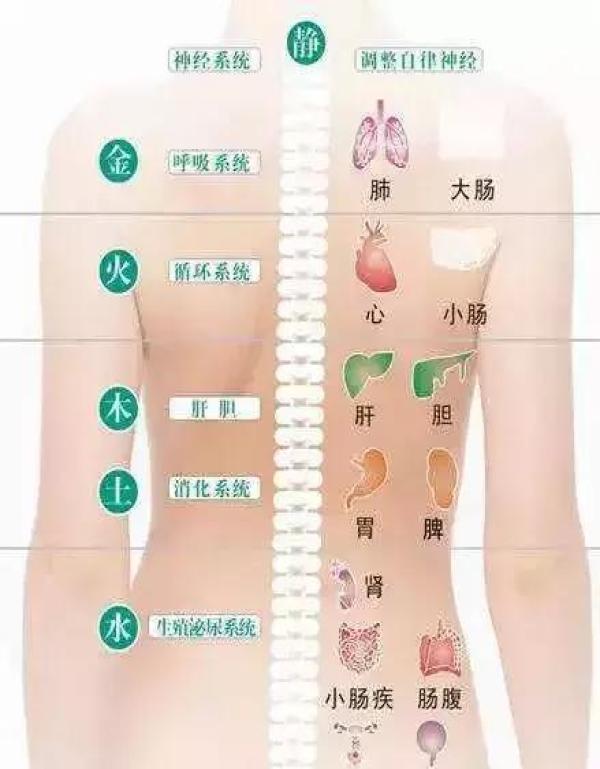 掌握这些养生经络技巧，轻松开启健康生活新方式