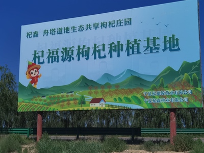 枸杞良种:品质卓越的优良之选,引领枸杞种植新方向