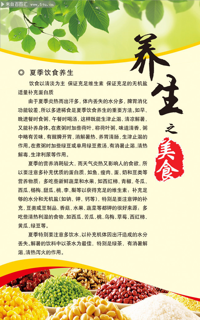 饮食养生重点：合理搭配食材、把握烹饪方式与进食规律