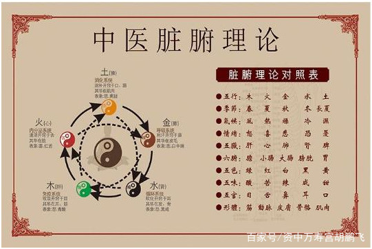 中医养生之道:精准调理脏腑,焕发身体内在活力