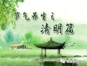 清明时节中医养生 顺时养阳护肝祛湿正当时