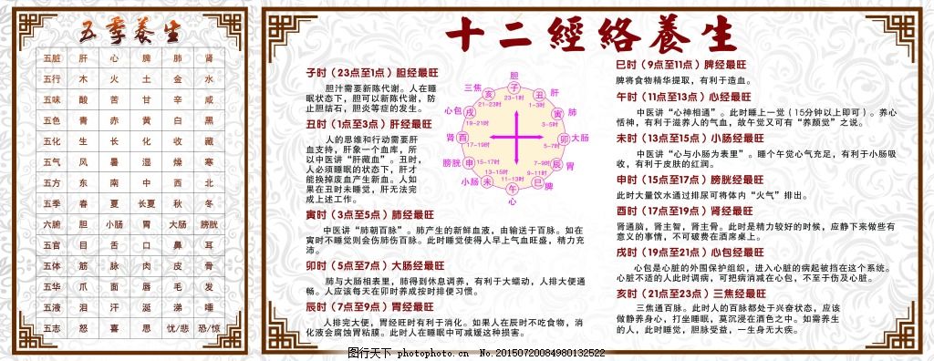 经络养生知识大揭秘，带你探索身体的健康密码