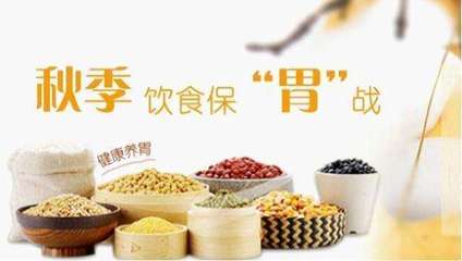 饮食养生重在养胃 温软食养呵护脾胃健康