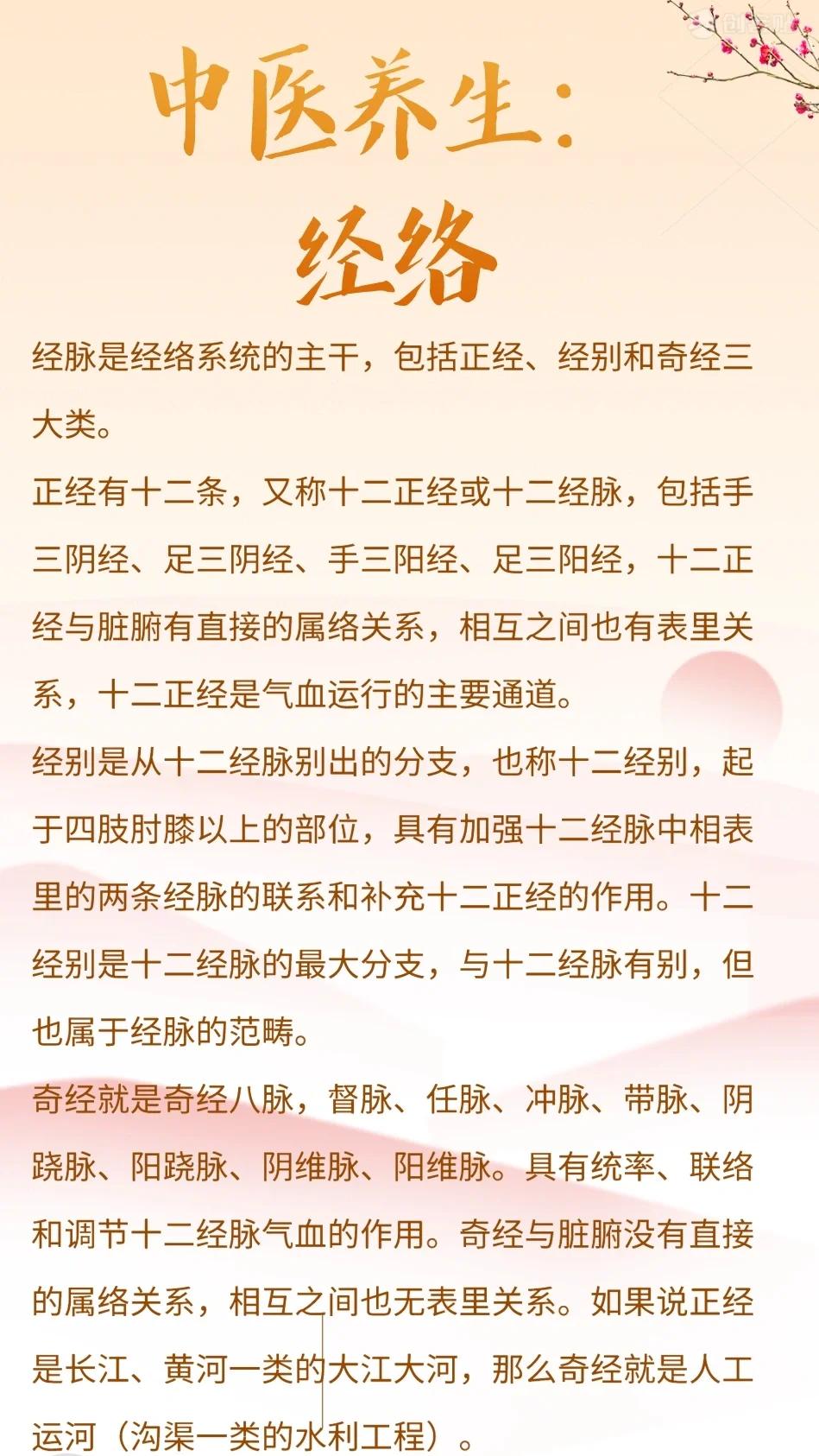 养生经络进阶妙招：解锁身体潜能，开启健康新境界