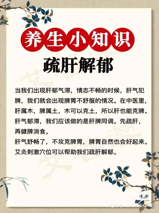 掌控情志密码,解锁养生真谛,开启身心愉悦健康生活新篇章