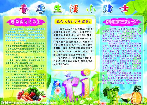 饮食养生窍门大公开：轻松吃出健康与活力